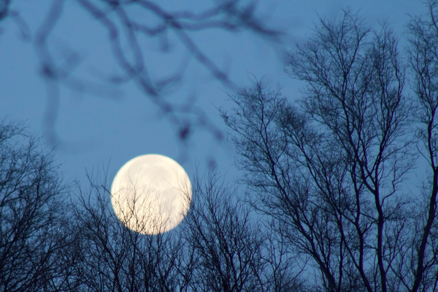 The November Full Moon Is All About Getting Answers—Here's a Spell to Help