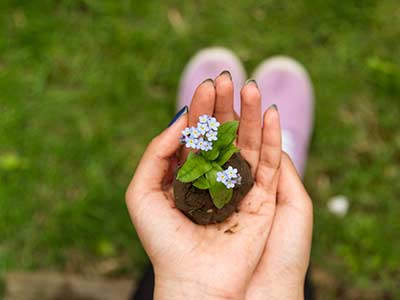 Your Body’s Herbal Allies