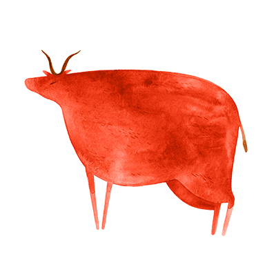 Ox