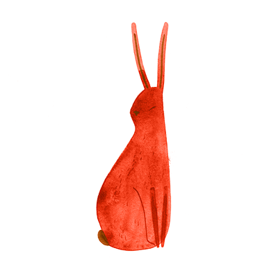 Rabbit