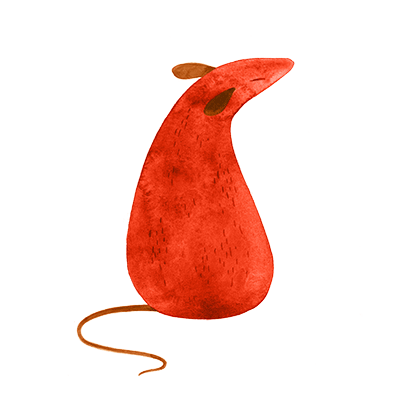 Rat