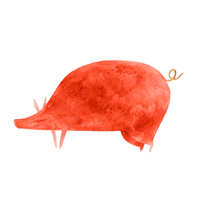 Pig