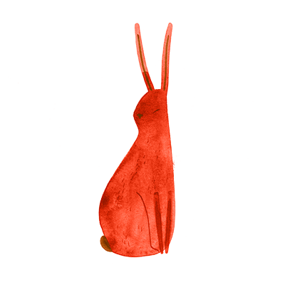 Rabbit